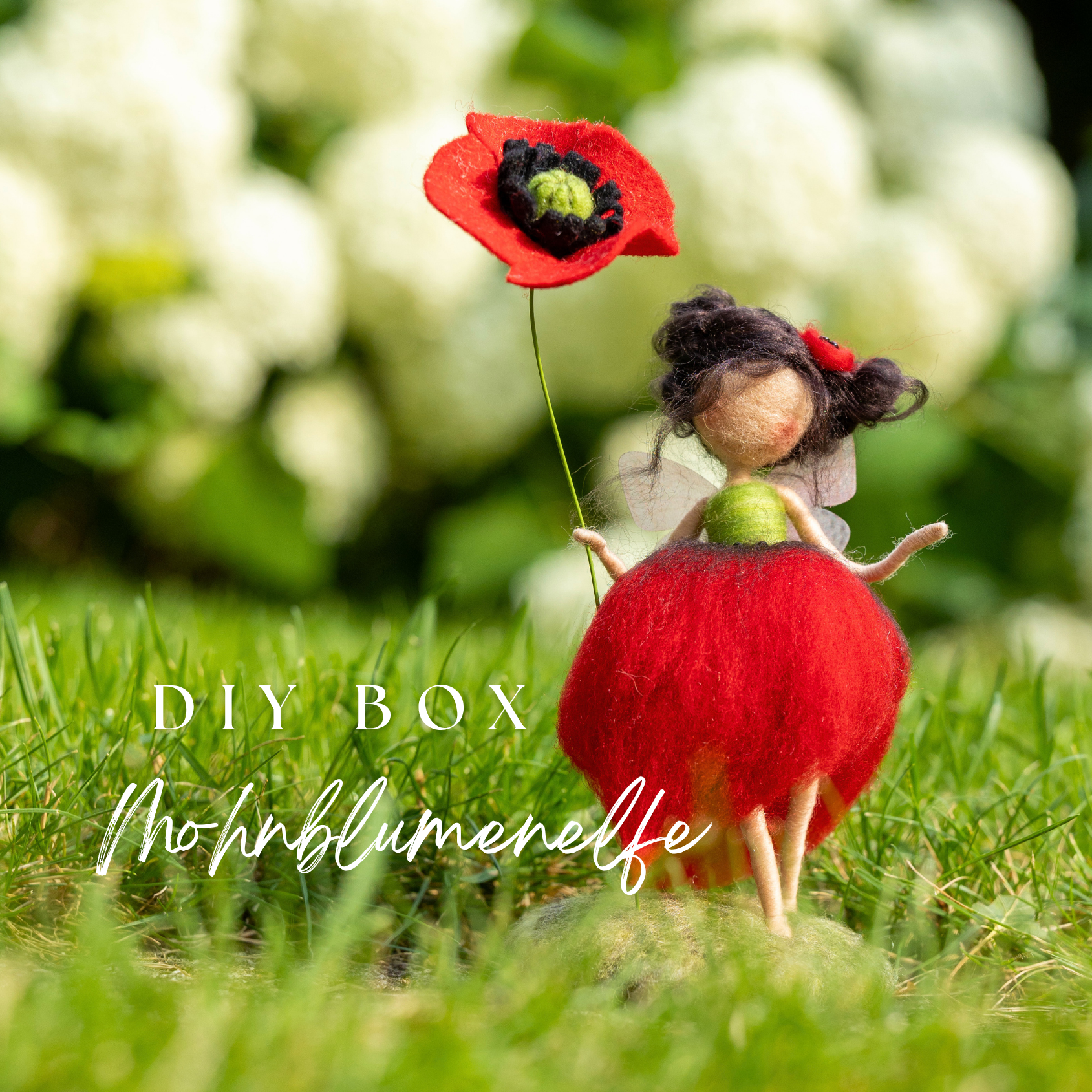 DIY Box Mohn