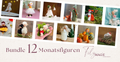 Bundle Video - Workshops "12 Monate"